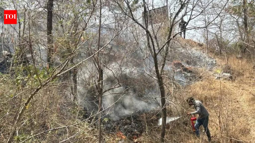 मानवनिर्मित आगीमुळे पुण्याची हिरवीगार जागा जळून खाक झाली