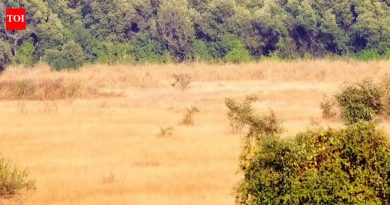 मुंढवा जमिनीचे पार्सल बीएसआयकडे कायमस्वरूपी हस्तांतरित करण्यासाठी महाराष्ट्राने प्रक्रिया सुरू केली आहे