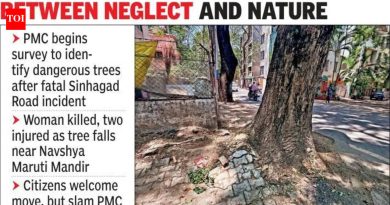पीएमसी धोकादायक झाडांचे सर्वेक्षण करणार, कार्यकर्त्यांनी कारवाईला उशीर केला