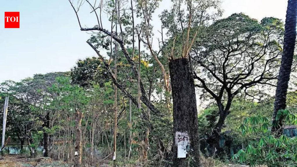 इन्फ्रा साठी मोठ्या पुश दरम्यान ग्रीनरी किंमत देते