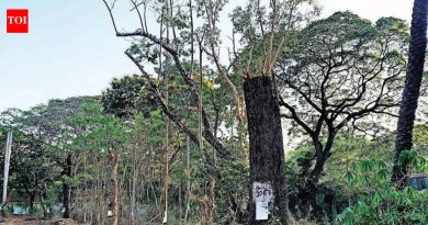 इन्फ्रा साठी मोठ्या पुश दरम्यान ग्रीनरी किंमत देते