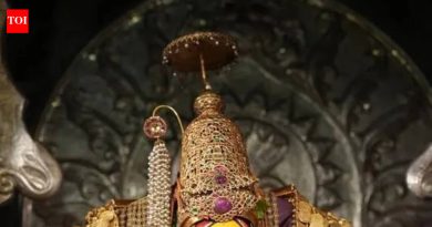 सोनं उगवलं, श्रद्धा मजबूत: तुळजाभवानी मंदिरात मौल्यवान प्रसादाची भर पडली