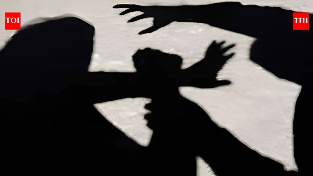पुणे : कारमध्ये लैंगिक छळाची तक्रार वकिलाने केल्यानंतर चौघांना अटक