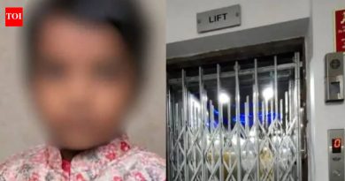 पुणे हौसिंग सोसायटीमध्ये लिफ्टच्या लोखंडी जाळी आणि दरवाजामध्ये अडकून ७ वर्षीय वृद्धाचा मृत्यू
