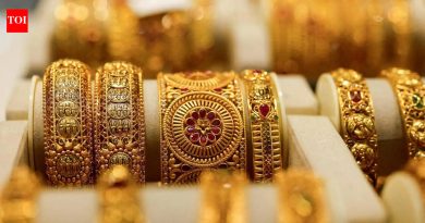 मुलाला मदत करण्याचा प्रयत्न केल्याने महिलेने ₹1.8L किमतीचे सोन्याचे दागिने गमावले | पुणे बातम्या