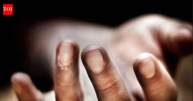 रावेत पुलाच्या मध्यभागी एसयूव्ही अचानक उलटल्याने 10 वर्षीय मुलीचा मृत्यू झाला