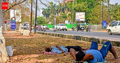 या उन्हाळ्यात महाराष्ट्रात उष्माघाताचे २९२ रुग्ण, २१ मृत्यू