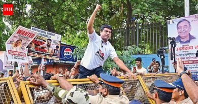 पोर्टल त्रुटी, निष्क्रिय हेल्पलाइन्स पुनर्मूल्यांकनाच्या शेवटच्या दिवशी CBSE विद्यार्थ्यांना फॉक्स करतात