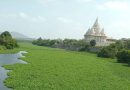 आषाढी वारीपूर्वी देहूजवळील इंद्रायणी नदीत मृत मासे आढळल्याने प्रदूषणाची चिंता वाढली आहे.
