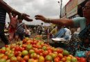 पुरवठा घटल्याने टोमॅटोचे भाव ३० टक्क्यांनी वाढले