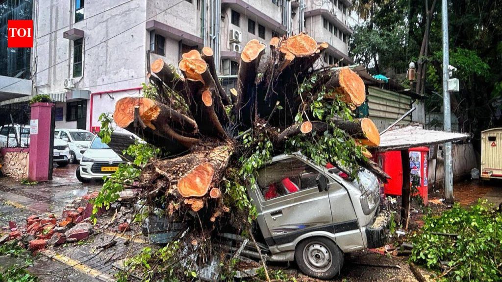 50 हून अधिक झाडे पडण्याची प्रकरणे अग्निशमन दलाच्या कर्मचाऱ्यांना त्यांच्या अंगठ्यावर ठेवतात