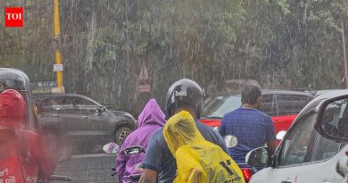 IMD ने जारी केलेल्या रेड अलर्टनंतर पुणे शहर आणि जिल्ह्यात 6 जुलै रोजी शाळांना सुट्टी जाहीर करण्यात आली आहे | पुणे बातम्या