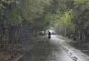 भारतातील बहुतांश भागात आठवडाभर मान्सून पुनरुज्जीवित होण्याची शक्यता नाही: IMD