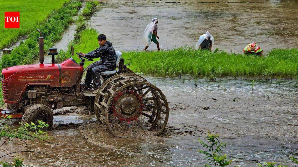 धरणांमधून पाणी सोडण्याचे प्रमाण कमी झाले असले तरी पुण्यातील नद्यांना पुराचा इशारा कायम आहे